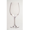 Tritan 20 oz Wine Glass
